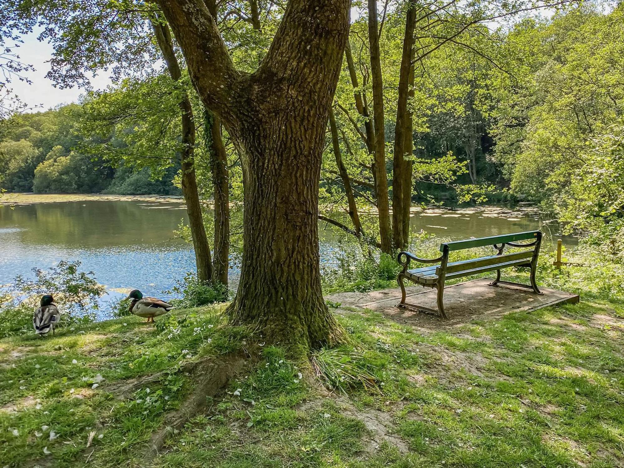 Serenity- Uk38551 Endon 외부 사진